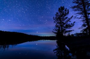 The stars were out in full force as I sat by Roche Lake taking my first successful set of night photos.  Since then found I really enjoy taking photos at night.  Nice to be out in the woods at night with no one else around, very peaceful.